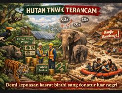 SENYAP YANG MENCURIGAKAN: Dugaan Alih Fungsi Zona Inti Taman Nasional Way Kambas untuk Wisata Premium, Siapa Bermain di Balik Layar?